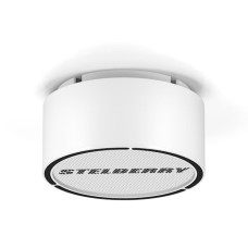 Громкоговоритель Stelberry F-306W Громкоговоритель Stelberry F-306W