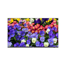 Монитор Uniview MW3255-F-V2 Монитор Uniview MW3255-F-V2